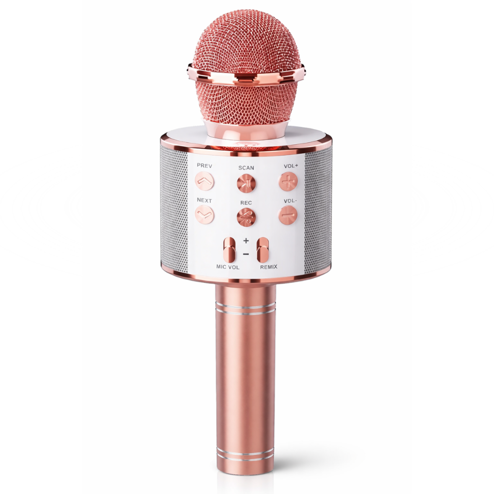Microfono Karaoke Bluetooth Portatile Wireless con Cassa Integrata e Luci LED